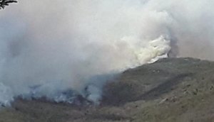 INCÊNIO SERRA DA GUIA