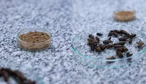 Foto: Igor Alisson/Inova Unicamp