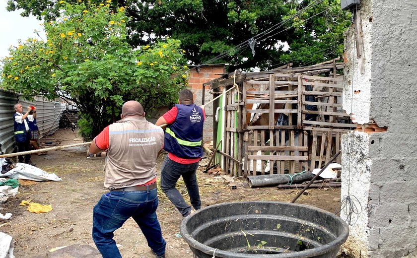 Segurança Cidadã realiza demolição de barracos esvaziados no Vergel do Lago