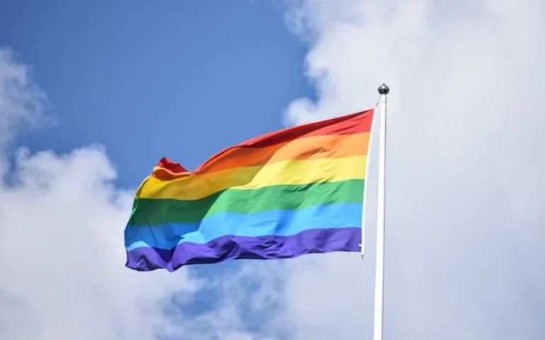 Ministério dos Direitos Humanos restabelece conselho LGBTQIA+