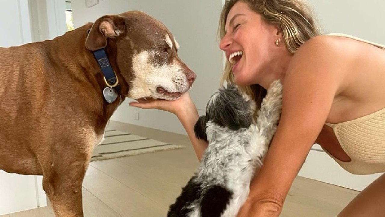Gisele Bündchen celebra Valentine’s Day com post para seus cães: ‘Amor puro’
