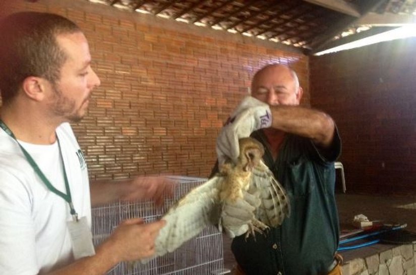IMA orienta funcionários do Parque Municipal sobre manejo de animais silvestre