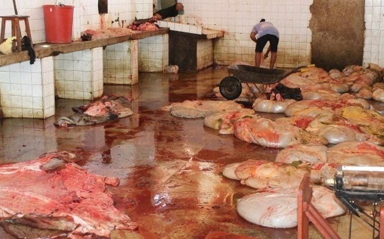 Juíza acata pedido da Defensoria Pública e determina interdição de matadouro em Palmeira