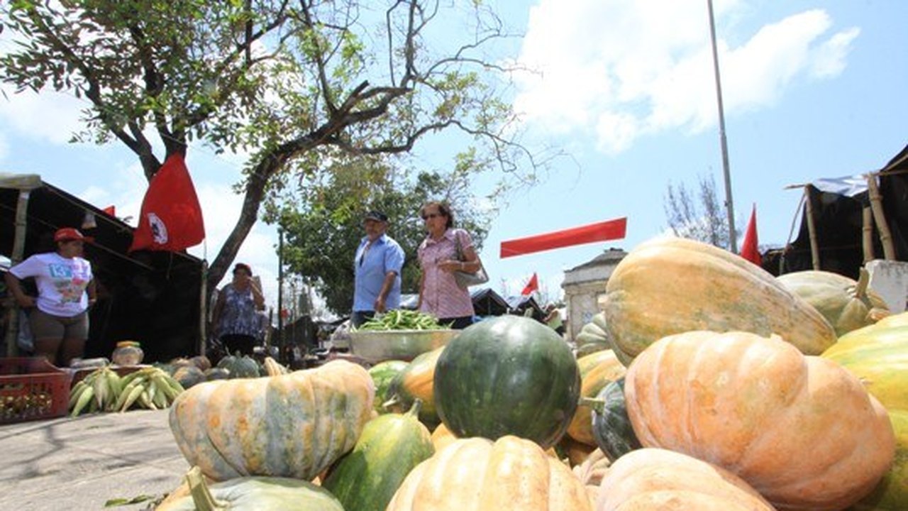 15ª Feira da Reforma Agrária será aberta nesta quarta-feira em Maceió