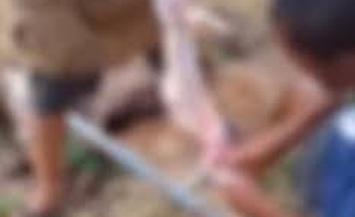 Investigação aponta que as carnes dos animais seriam comercializadas no interior do estado