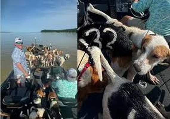 Pescadores resgatam 38 cães de afogamento em lago no Mississippi