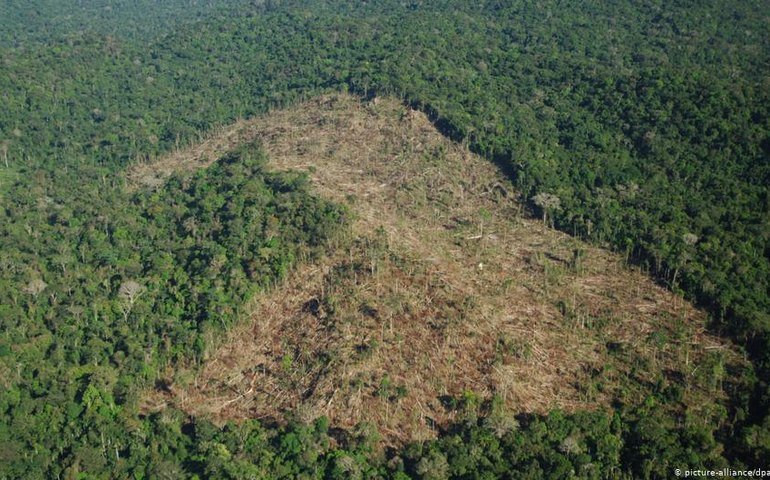 Desmatamento na Amazônia cresce 104% em novembro