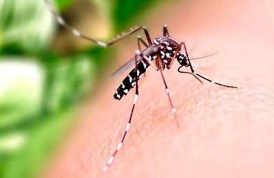 Saúde orienta população sobre cuidados com casas e empresas fechadas durante o Carnaval