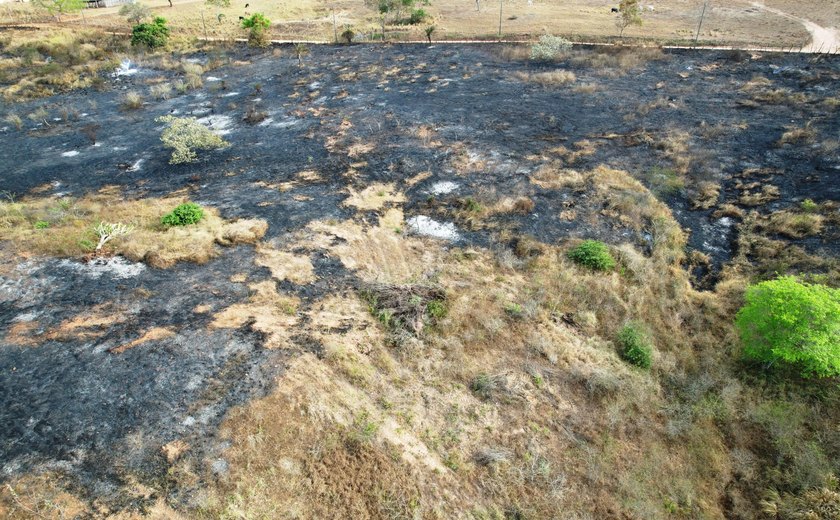 Alagoas registra 621 focos de incêndio em uma Semana e IMA alerta para aumento de queimadas