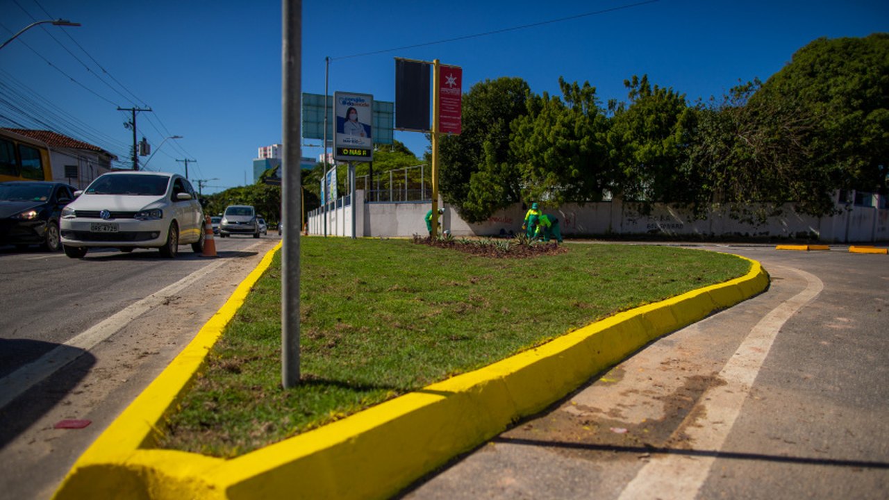 Desenvolvimento Sustentável inicia arborização em canteiros da capital