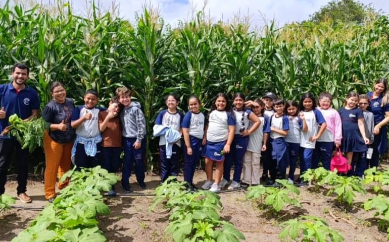 Arapiraca adota novas práticas de aprendizagem