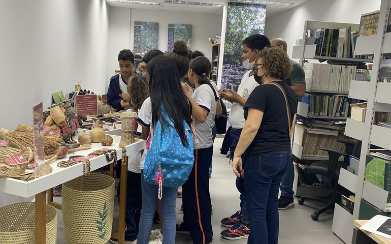 Herbário de Portas Abertas: em 2023, mais de 500 pessoas conheceram o acervo botânico do IMA