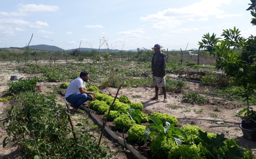 Dia do Trabalhador Rural: Emater assiste quase 35 mil agricultores indiretamente