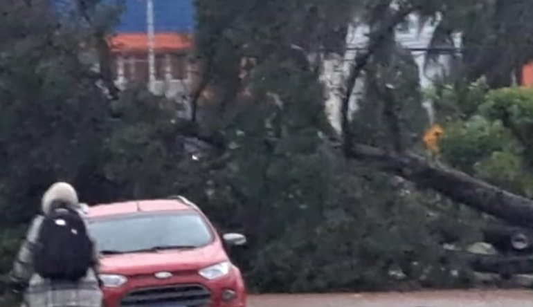 Passagem de ciclone pelo RS provoca morte e deixa 800 mil pessoas sem luz