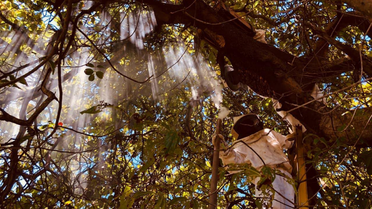 IMA anuncia vencedores do 5º Concurso de Fotografia Ambiental