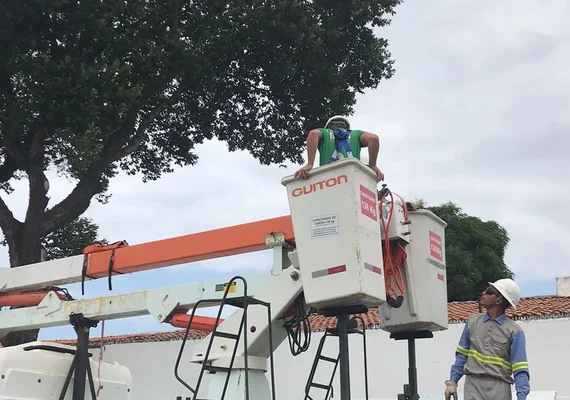 Ninho de gavião é resgatado de árvore no Trapiche, em Maceió