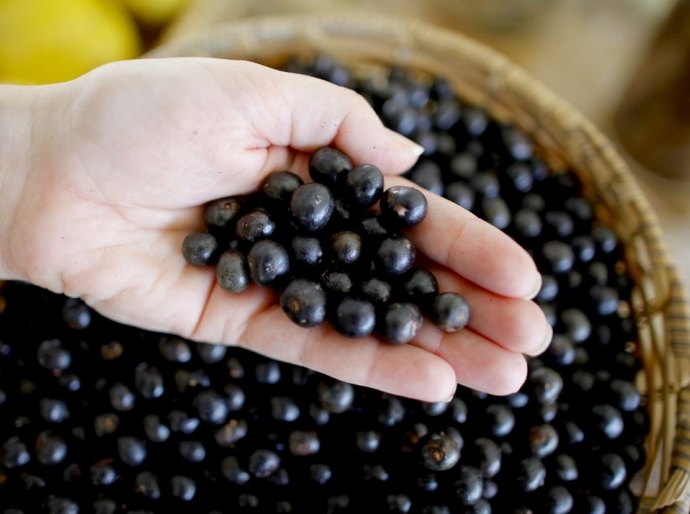 Desenvolve libera recurso para expansão da rede alimentícia Açaí Concept