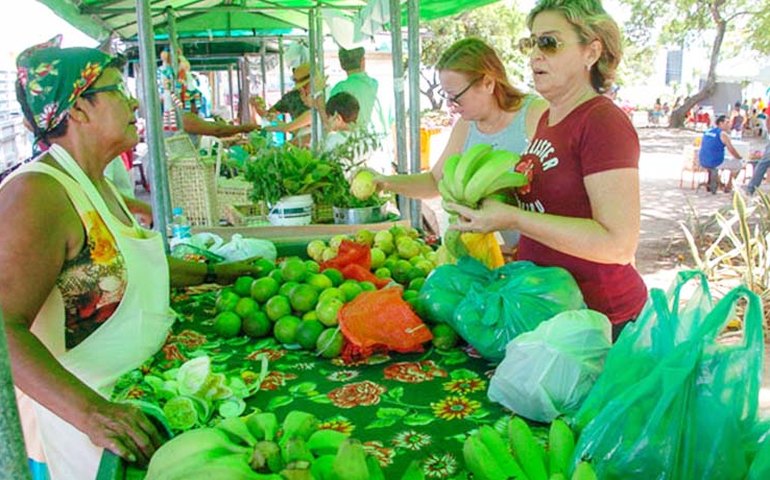 Feira de Orgânicos da Praça Centenário recebe novos participantes em Maceió