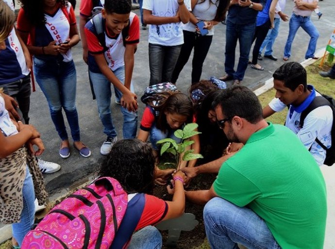 Projeto Calçada Verde tem grande aceitação da população de Maceió
