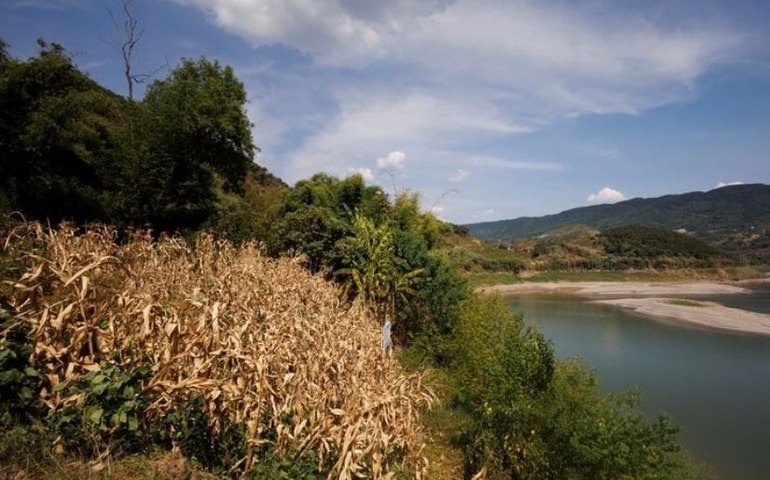 Maior lago da China sofre com a seca e afeta plantações de arroz