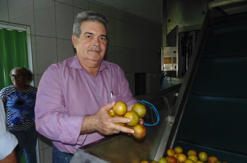 Novas agroindústrias e cooperativas estão em fase de conclusão no interior