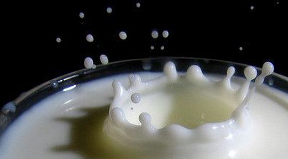 lactose