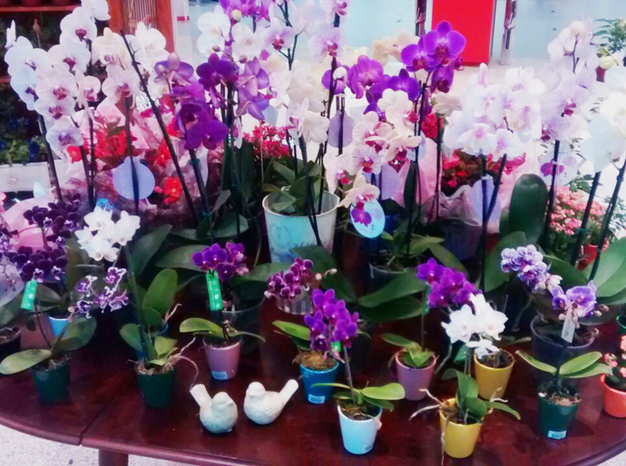 Exposições e gincana em homenagem às mães marcam Parque Shopping