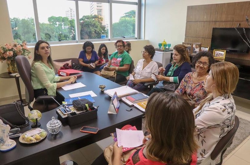 Integrantes do Cedim mostram na ALE preocupação com aumento da violência contra a mulher no Carnaval