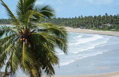 Praia do Patacho é única de Alagoas a receber selo Bandeira Azul