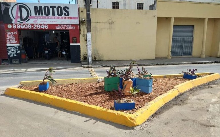 Prefeitura realiza arborização em canteiros do bairro do Jacintinho