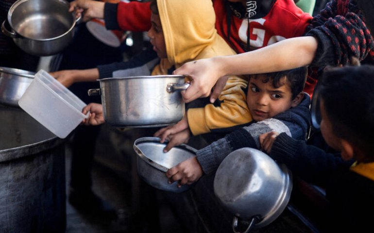 ONU denuncia desnutrição e desidratação infantil em Gaza