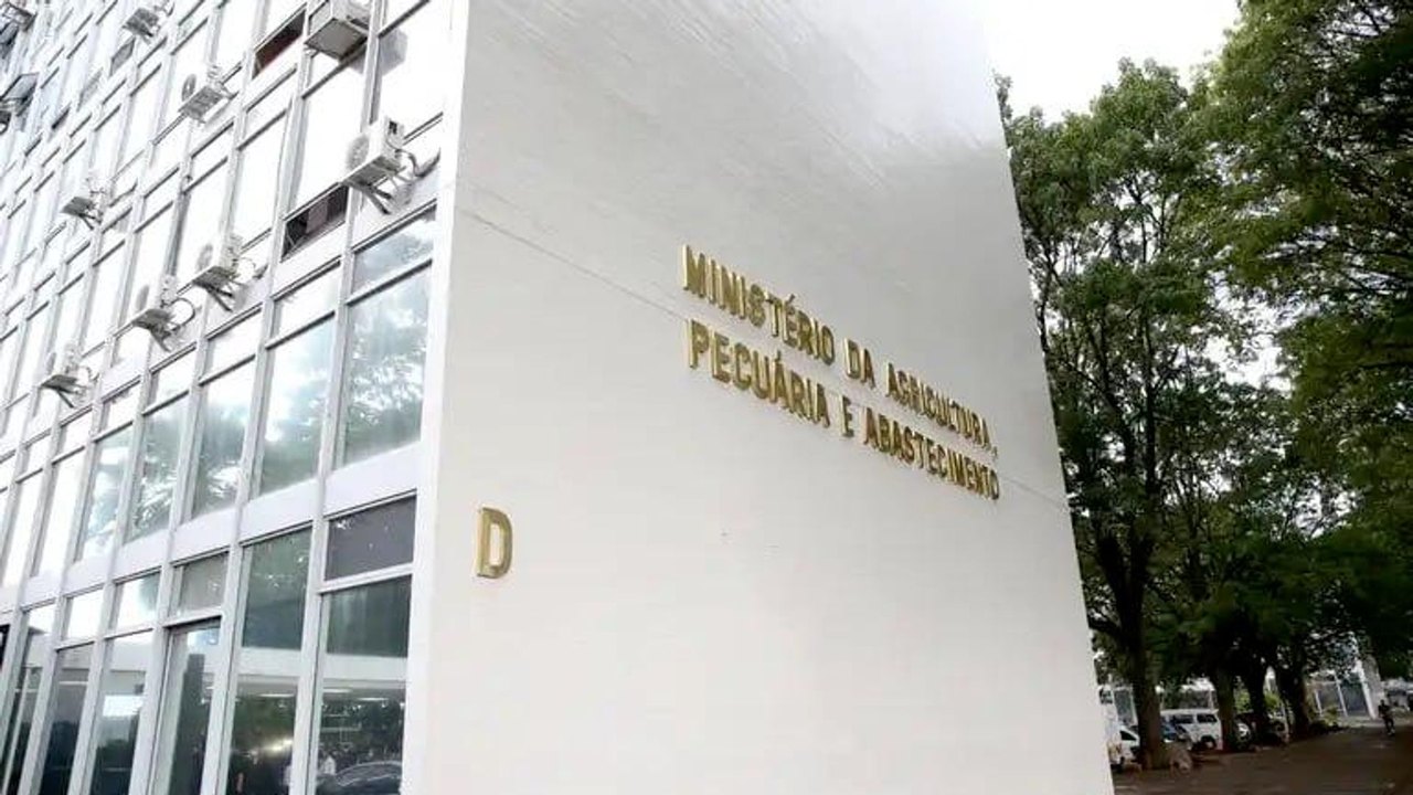 Brasil critica restrições da UE a proteínas animais