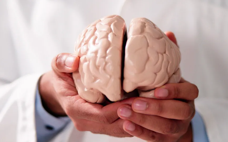 Semana Mundial do Cérebro: live aborda longevidade e autonomia com respaldo científico