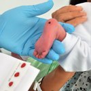 Dia do Teste do Pezinho: Pediatra da Sesau ressalta a importância do exame para diagnosticar doenças precocemente