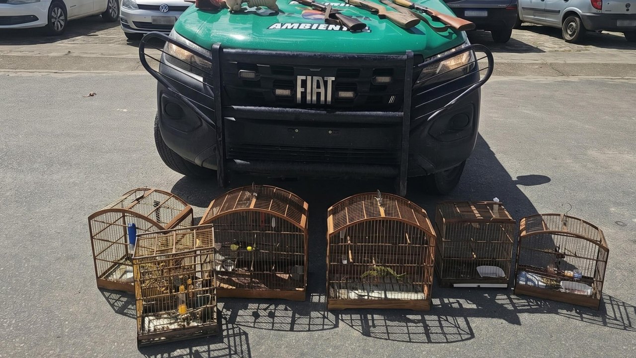 PM-AL apreende animais silvestres e armas em ação no Litoral Norte