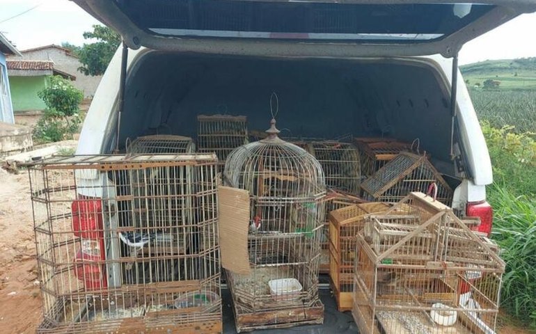 BPA realiza fiscalização ambiental na capital e no interior