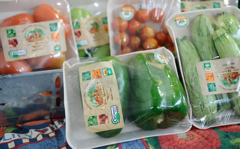 Por que cenouras, tomates e abacates podem ajudar a rejuvenescer? Entenda o potencial nutricional