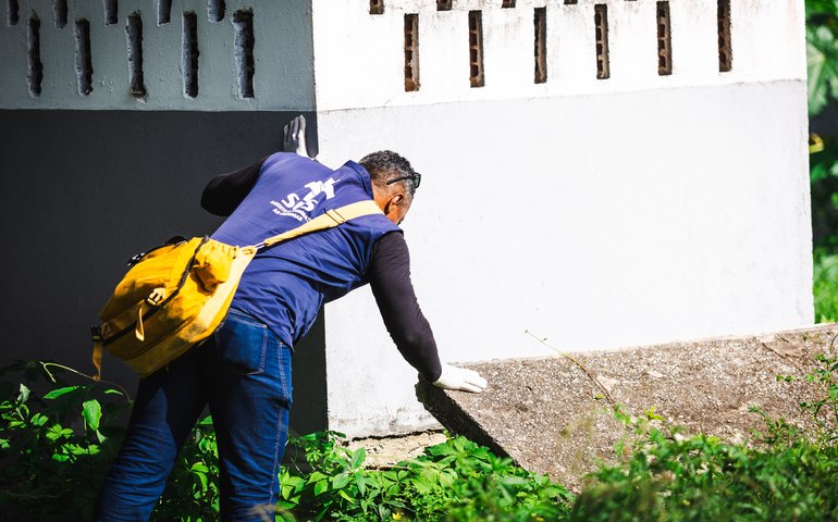 Saúde reforça serviço de Disque Denúncia para informar sobre animais peçonhentos