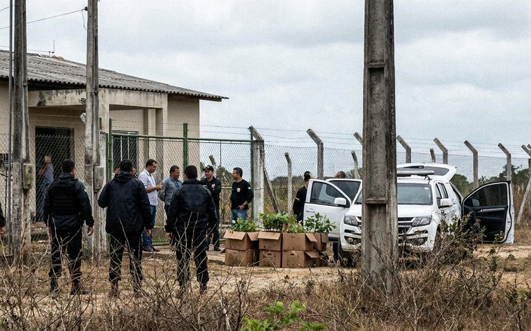 PF afasta servidor em investigação sobre documentos falsos e mudas irregulares em Sergipe