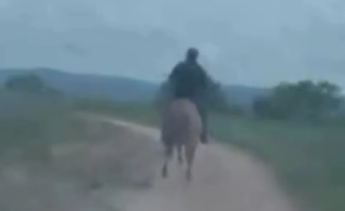 Delegado a cavalo persegue e prende suspeito de estupro de criança