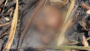 Crânio queimado é encontrado dentro de canavial em Sergipe