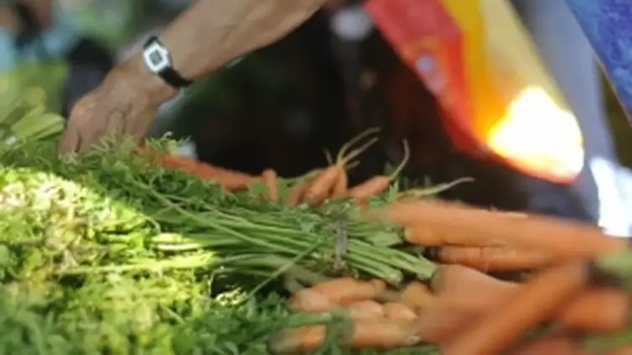 Vegetariana x vegana: qual dieta à base de plantas é a mais saudável e sustentável?
