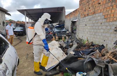Prefeitura de Penedo realiza borrifação de larvicida como técnica de combate à dengue
