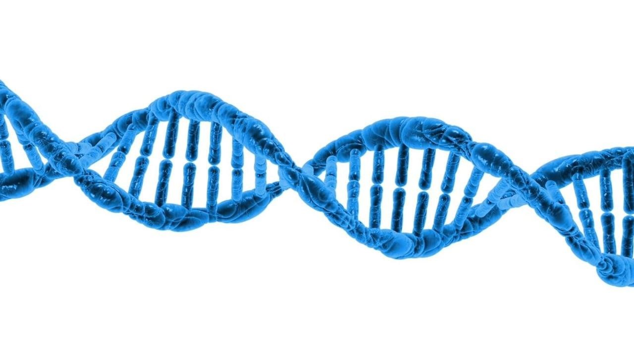 Cientistas encontram gene humano em vírus que causa lesões na pele