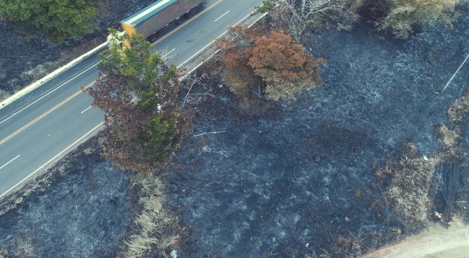 FISCALIZAÇÃO ADEMA INCÊNDIO / Foto: Ascom/Adema