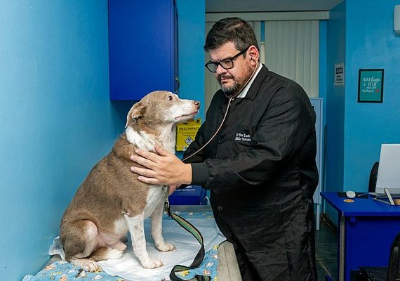 Programa de Apoio aos Animais Completa Quatro Anos
