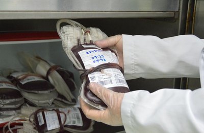 Deputado Alexandre Ayres propõe campanha para doação de sangue em jogos de futebol e eventos culturais