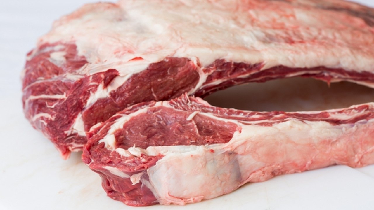 África do Sul quer comprar carne bovina de Santa Catarina