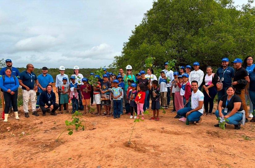 Secretaria de Meio Ambiente e Conasa realizam plantio de mil mudas nativas em Delmiro Gouveia