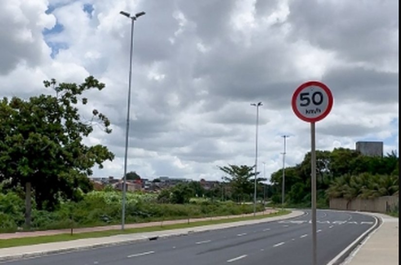 SMTT Arapiraca orienta condutores sobre cuidados com animais nas vias